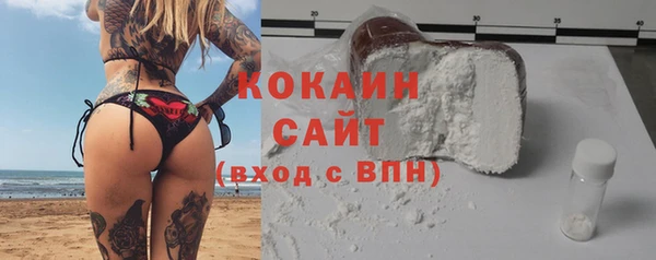 шишки Артём